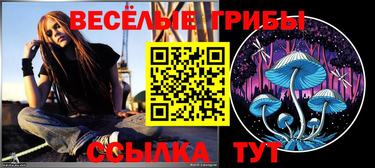 Галлюциногенные грибы Magic Shrooms  Вход с VPN  Бахчисарай 